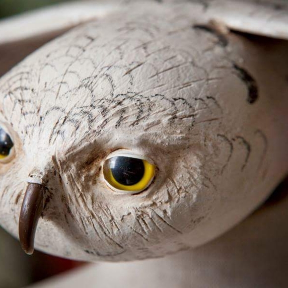 Meet your Posher, Marguerite - Picture 5 of 12